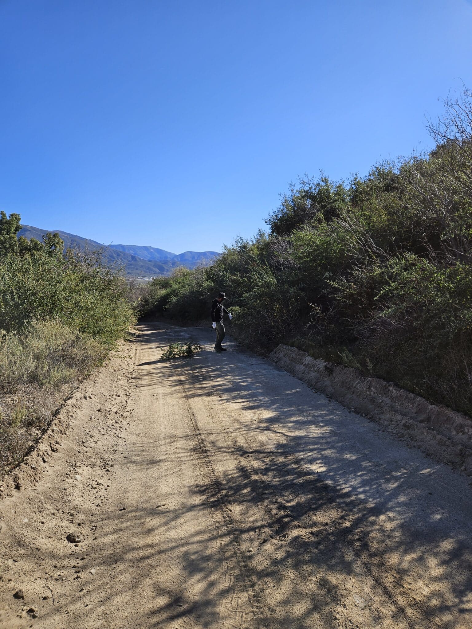 Tread Lightly! Impact Report: Upper Lytle Divide Trail Brushing with ...