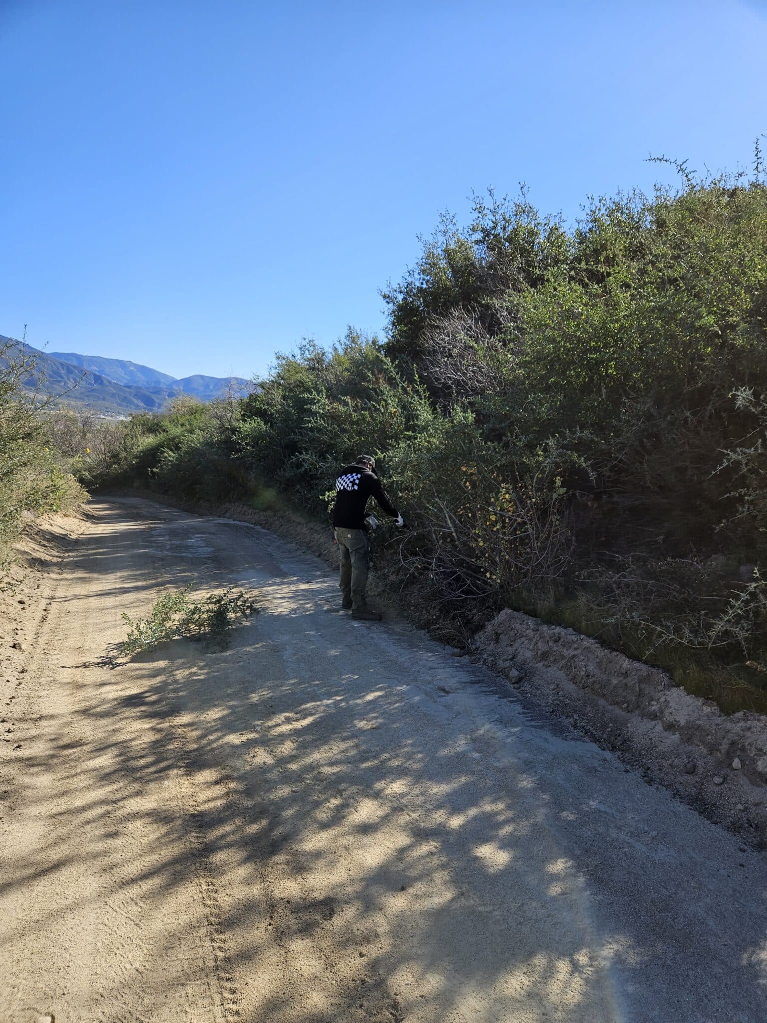 Tread Lightly! Impact Report: Upper Lytle Divide Trail Brushing with ...