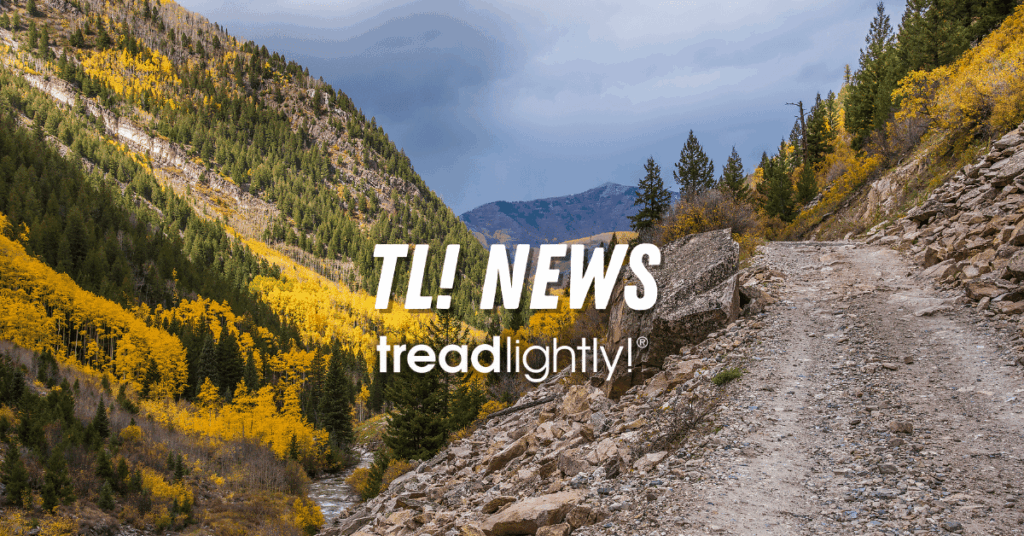 TLnews General 1024x536