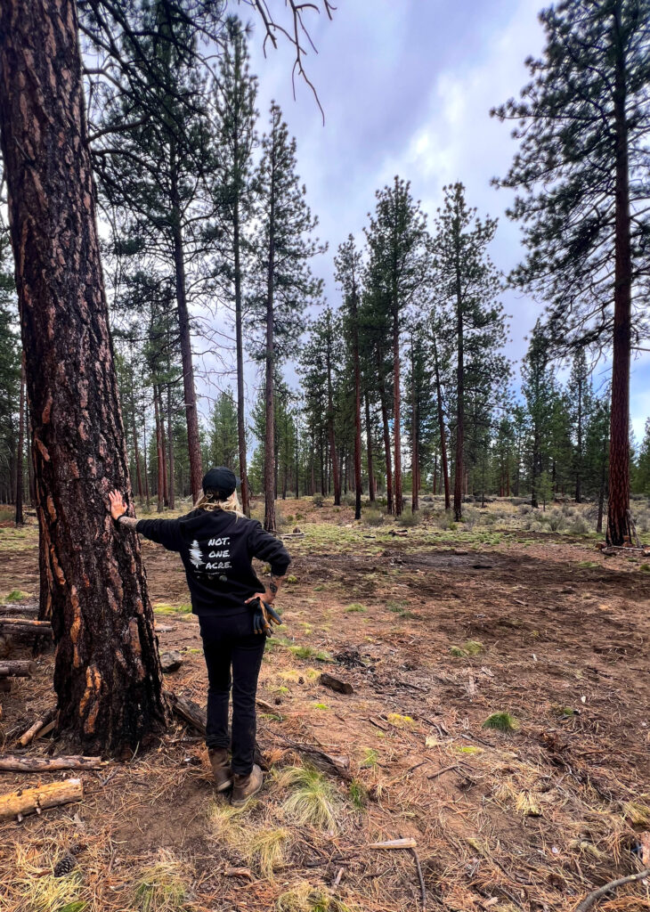 0fb9116a 7e83 48ba afb1 1faf1a087e13