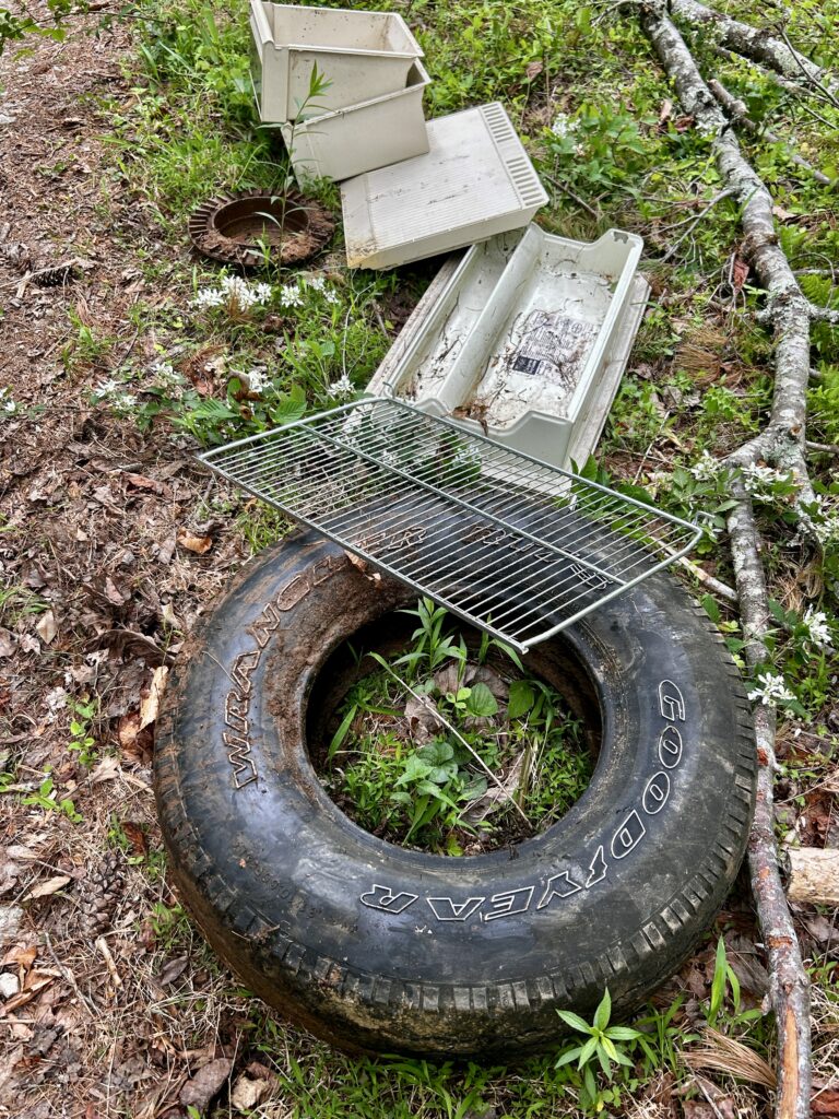 Tread Lightly! Impact Report: Chattooga River District Spring Sweep img e9674