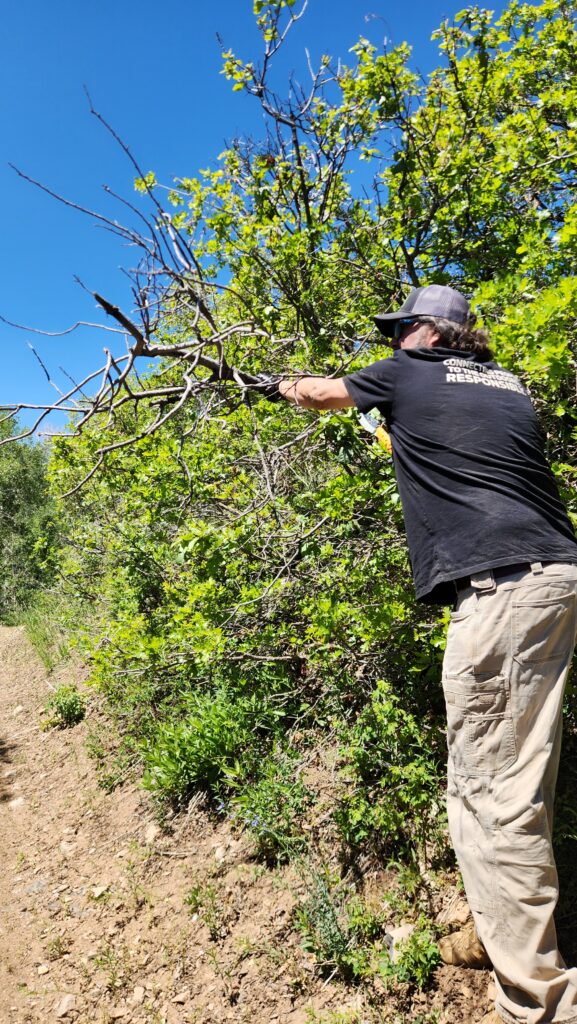 Tread Lightly! Impact Report: Hoyt Peak Opening Day with Bronco Wild Fund 20260615 114451