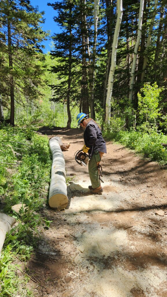 Tread Lightly! Impact Report: Hoyt Peak Opening Day with Bronco Wild Fund 20260615 120656