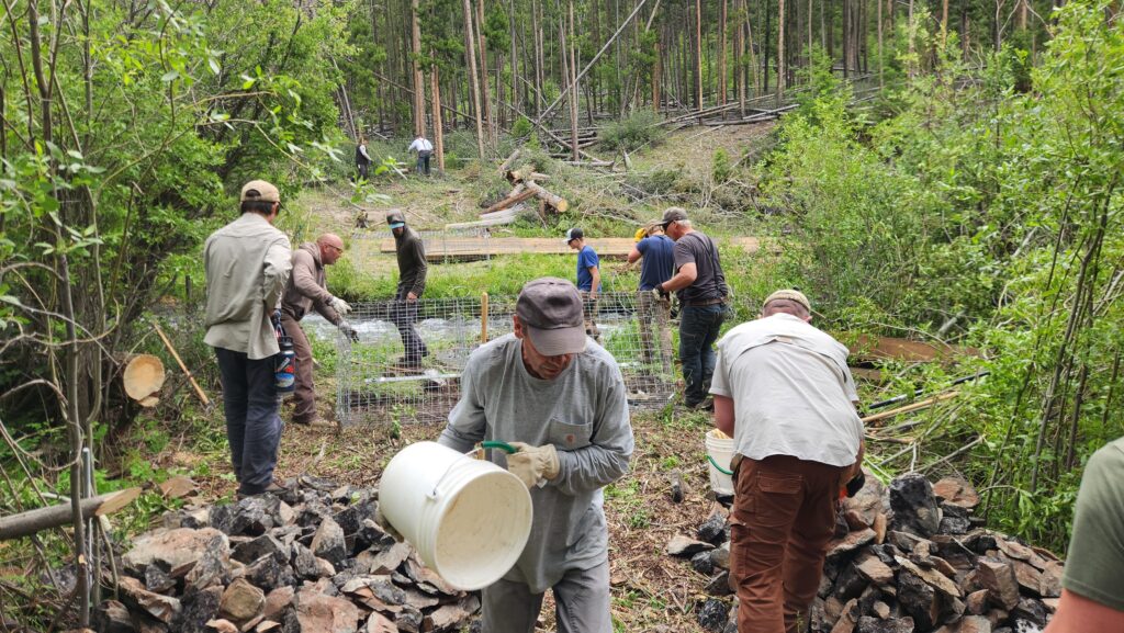 Tread Lightly! Impact Report: Big Creek Single Track Bridge Build 20260626 091854