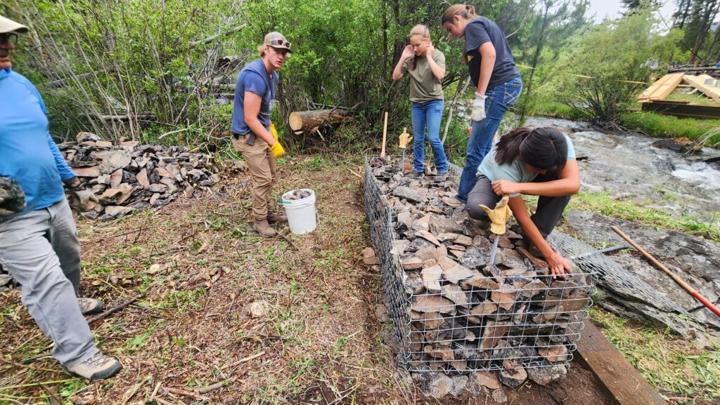 Tread Lightly! Impact Report: Big Creek Single Track Bridge Build 20260626 094756
