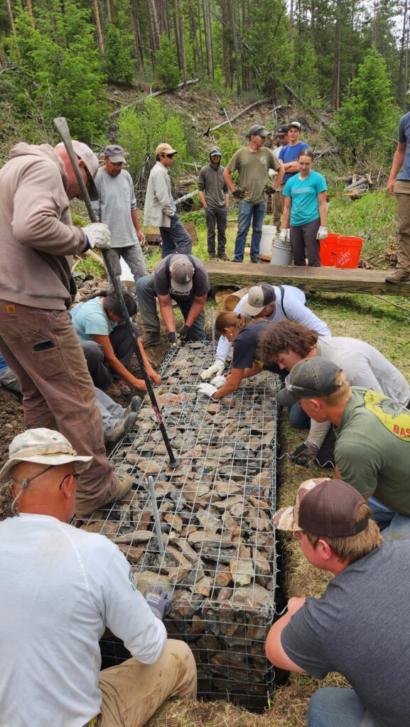 Tread Lightly! Impact Report: Big Creek Single Track Bridge Build 20260626 141834