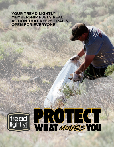 Protect What Moves You 1