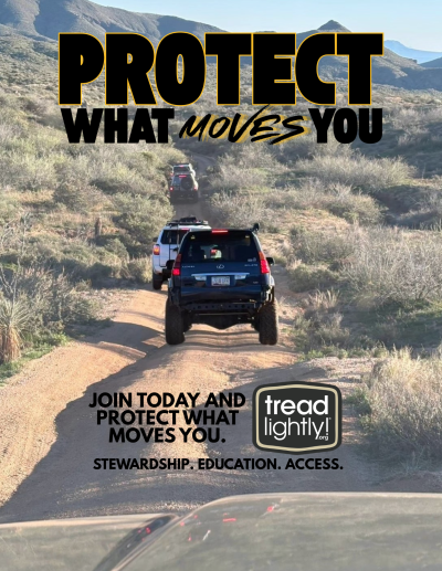 Protect What Moves You 4