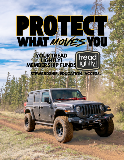 Protect What Moves You 5